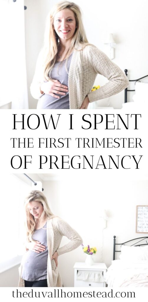 Surprise! First Trimester Pregnany Update - The Duvall Homestead