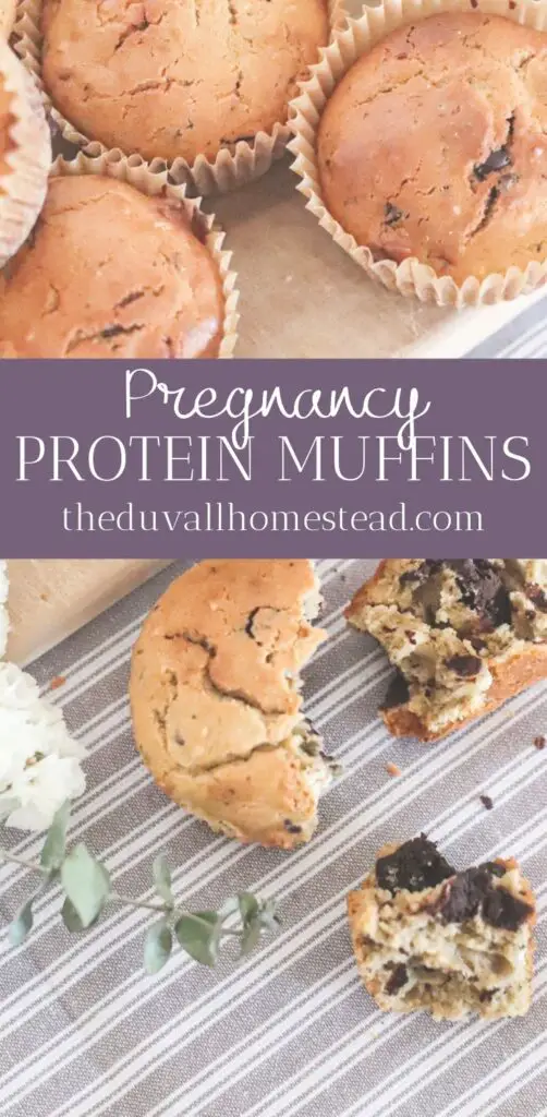 These delicious protein pregnancy muffins are both sweet and healthy, making them the perfect go to snack for maternity. With chocolate chunks, protein powder, and nutritious toppings, these muffins satisfy that mom-to-be late afternoon craving without feeling guilty. 

#pregnancymuffins #pregnancy #maternity #muffins #snack #delicious #yum #recipes #healthyrecipes #protein