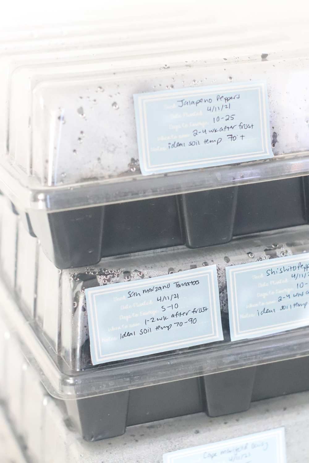 13-how-to-start-a-garden-from-seed-gardening-for-beginners-indoor-seed-starting-homesteading-farming