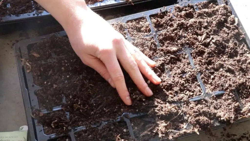 Planting seeds in my indoor garden seed trays.