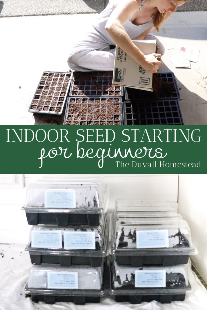 Join me in this simple tutorial for how to start a garden indoors with seeds. It's really easy, so grab some dirt and your favorite shovel and let's get started. Gardening for beginners tutorial. Free seed labels for your garden tray. 

#garden #seedstarting #gardenfromseed #startagarden #howtostartagarden #planting #gardening #homesteading #farming #backyard #flowers #vegetables #growing #plants #gardener #organic #seeds #seedlabels 