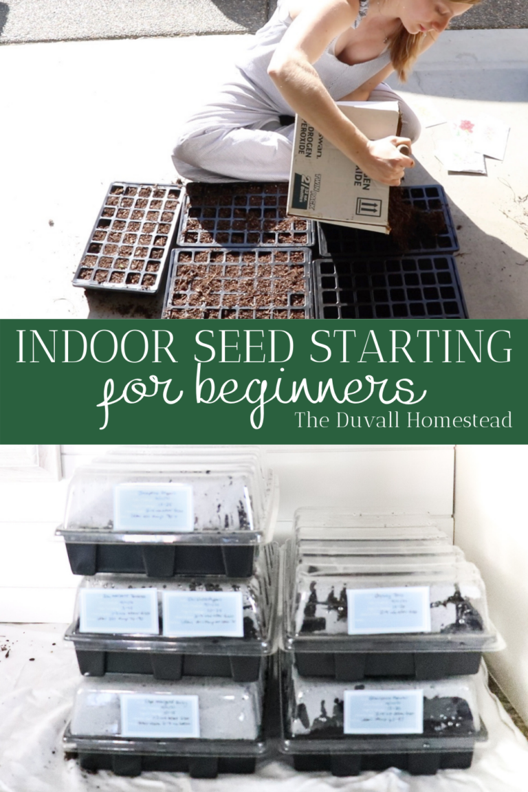 How to Start a Garden from Seeds - The Duvall Homestead
