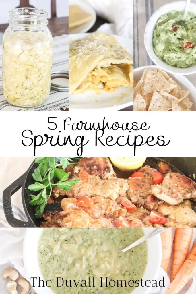 5 Farmhouse Spring Recipes

#healthyrecipes #springrecipes #mealplanning #recipes #meals #mealprep
