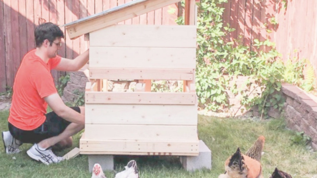 Building a chicken coop for a small backyard in the suburbs