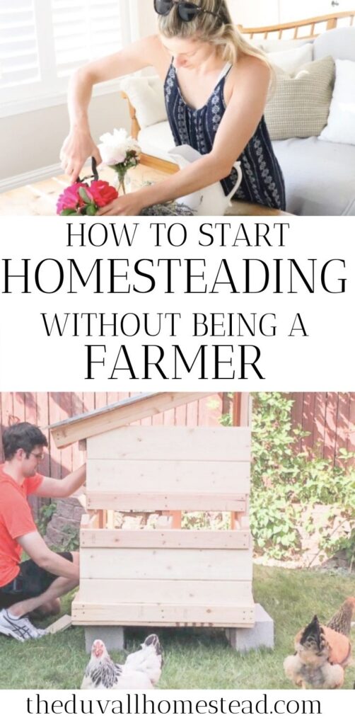 Maybe you're sitting in your city apartment or working in a corporate office dreaming of more space, more quiet, and a homestead life. I say, don't wait until you have your 10 acres to start homesteading. You can start making progress towards that dream today! Learn my top 3 ways to start homesteading small, even if you have no farming experience. That's what I did when I lived in an apartment!

#homesteading #naturalliving #farming #farmtotable #homesteadlifestlye #backtobasics #simpleliving #simplicity #minimalism #howtostartahomestead #suburbanfarming #backyardfarming #urbanfarmer