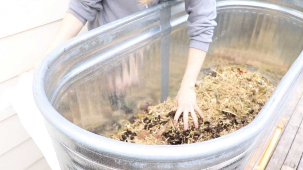 Spreading the compost into the trough