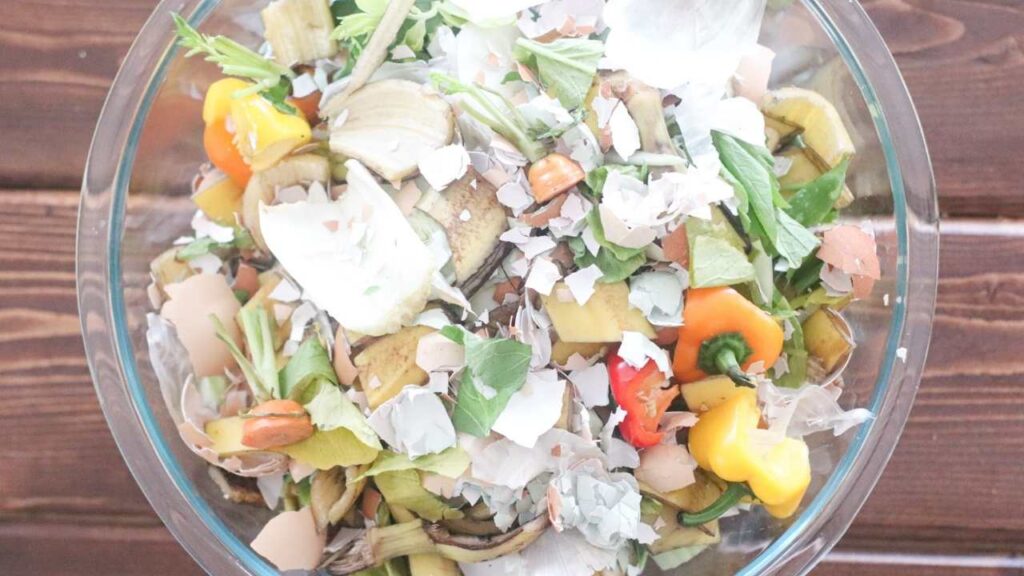 A bowl of food that can be composted