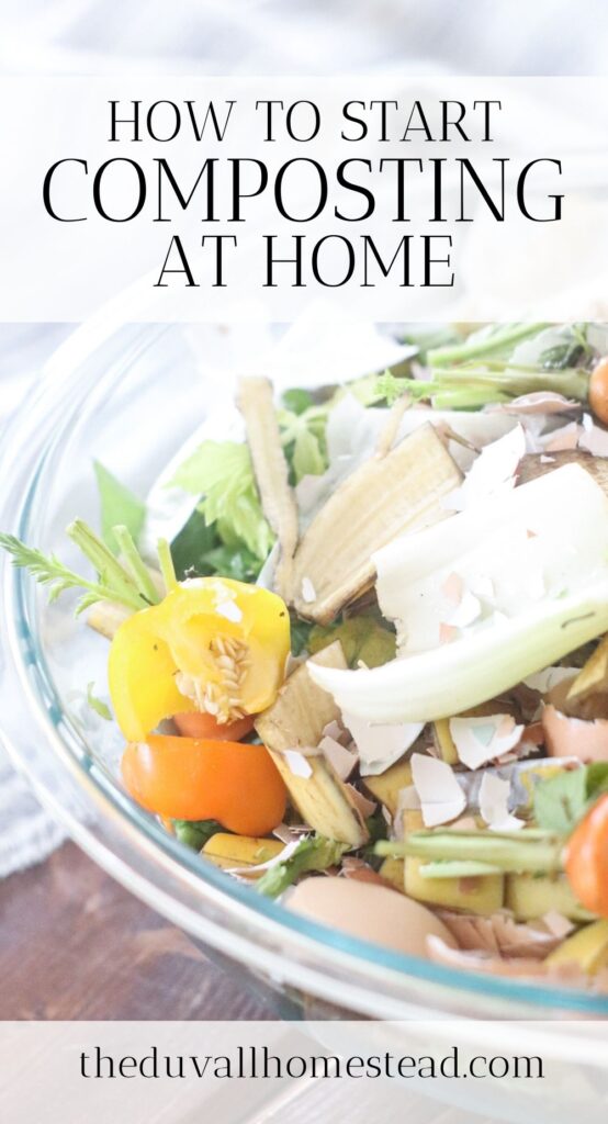 Learn how to turn everyday kitchen scraps into nutritious compost for your soil in this step by step tutorial on how to compost at home. 

#composting #garden #nutrition #nutrients #kitchenscraps #food #backyardgardening #backyard #soil #gardening #compost #farming #homesteading #athome 