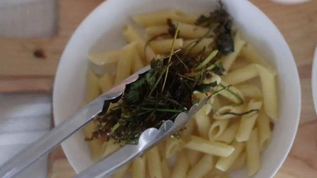 kale florets on pasta