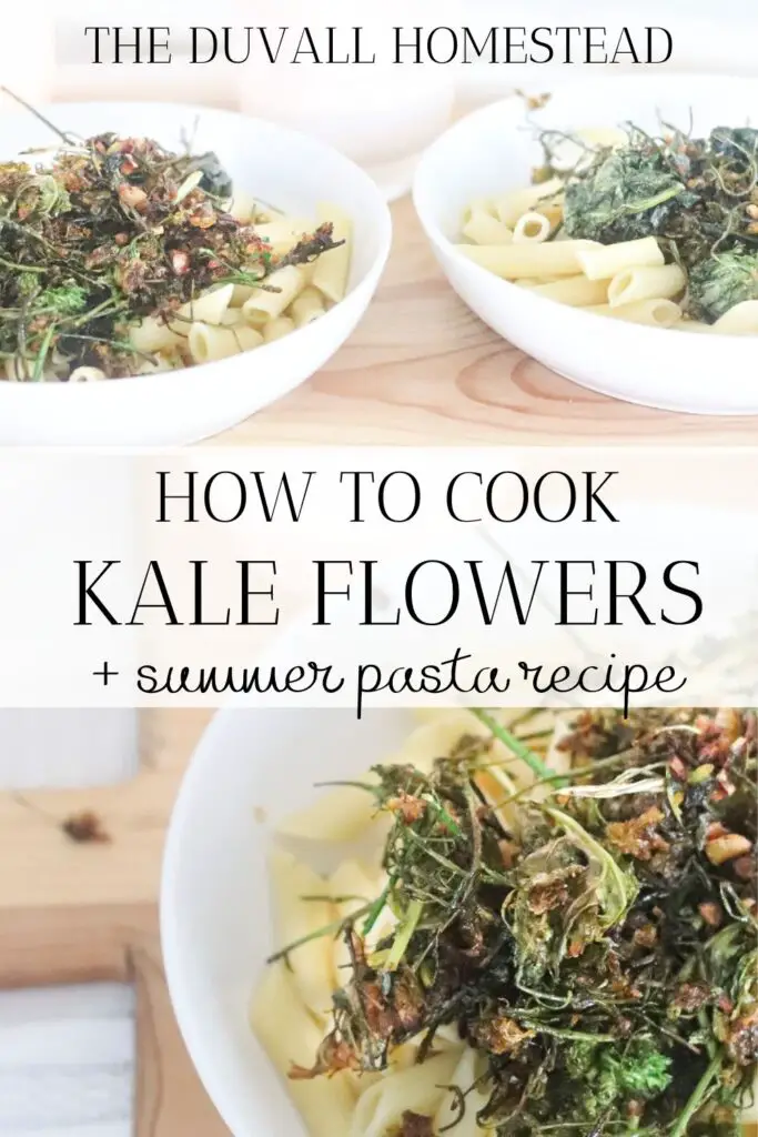 Learn how to cook a delicious summer kale pasta with your kale flowers. Pull them straight out of the garden and eat them raw or cooked with this simple recipe.

#kaleflowers #kale #florets #flowers #garden #pasta #recipe #howtocookkale #kaleflorets #kalerecipe #recipes #healthy #vegetarian #dinnerideas #dinner #food #foodie #goodfood #healthyfood