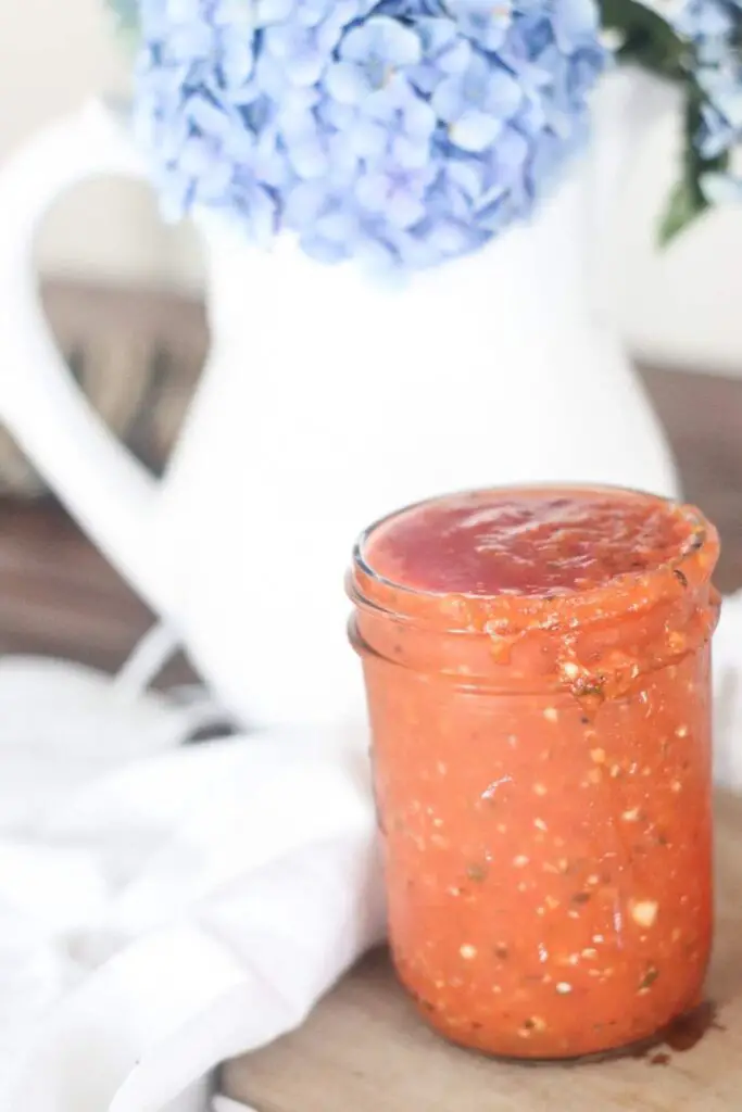 Homemade Tomato Sauce Recipe with Fresh Tomatoes