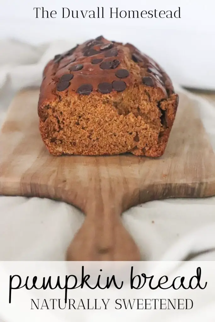 This simple pumpkin bread recipe uses a fresh pumpkin and tastes like a slice of fall with notes of cinnamon, honey, nutmeg, and maple.

#pumpkinbread #freshpumpkin #healthy #howtomakepumpkinbread #fallrecipes 
