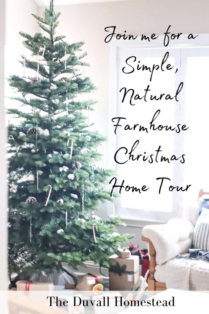 Fresh greenery, natural elements, and handmade touches are a few of the goals I had in mind for this year's decor. 

#naturalchristmasdecor #farmhousechristmas #simplechristmasdecor #christmas #farmhousedecor