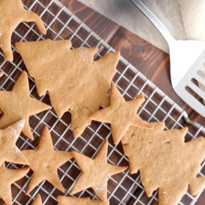 best chewy gingerbread cookies with essential oils christmas cookies recipes