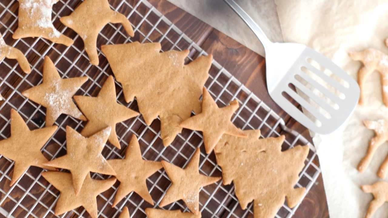 best chewy gingerbread cookies with essential oils christmas cookies recipes