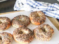 6-how-to-make-sourdough-bagels-homemade-everything-bagel-recipe-sourdough-starter-easy-tutorial-how-to-make-bagels-from-scratch