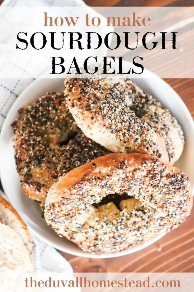 Learn to make sourdough bagels that are crispy on the outside and chewy on the inside. This simple tutorial shows you how to use your sourdough starter to make bagels. Perfect for breakfast, lunch, or a midday snack. 

#sourdoughbagels #sourdoughstarter #homemadebagels #howtomakebagels #bagelrecipe