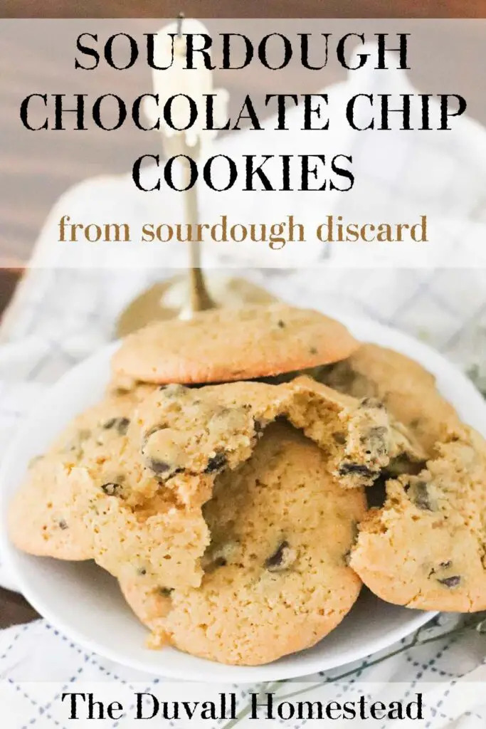 These sourdough discard chocolate chip cookies are the best chewy cookie with chocolaty inside. Use up your starter with this no-wait dessert.

#sourdoughdiscard #chocolatechipcookies #sourdoughchocolatechipcookies #sourdough #cookies