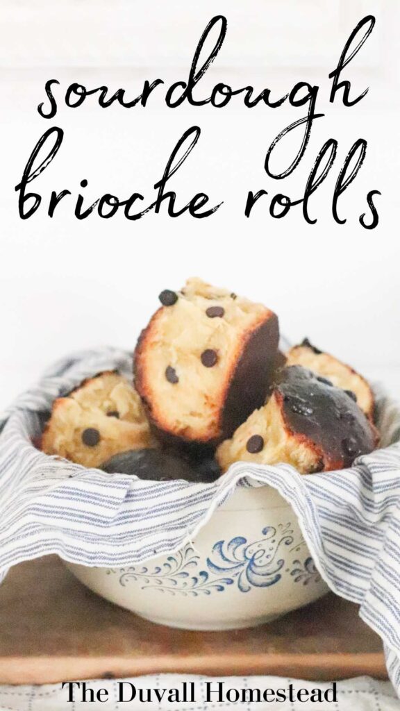 Easter is around the corner, and I'm getting ready with homemade sourdough brioche rolls with chocolate chips. This recipe uses sourdough starter to make a soft, chewy, sourdough brioche roll. The chocolate chips make this extra decadent.

#sourdoughbrioche #sourdough #briocherolls #sourdoughstarter #chocolatechipbrioche #easterrecipes #easterbrunch #bruch 