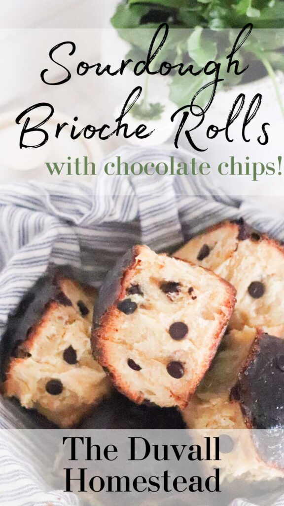 Easter is around the corner, and I'm getting ready with homemade sourdough brioche rolls with chocolate chips. This recipe uses sourdough starter to make a soft, chewy, sourdough brioche roll. The chocolate chips make this extra decadent.

#sourdoughbrioche #sourdough #briocherolls #sourdoughstarter #chocolatechipbrioche #easterrecipes #easterbrunch #bruch 