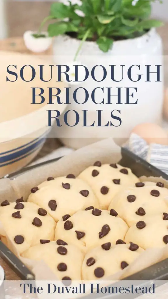 Easter is around the corner, and I'm getting ready with homemade sourdough brioche rolls with chocolate chips. This recipe uses sourdough starter to make a soft, chewy, sourdough brioche roll. The chocolate chips make this extra decadent.

#sourdoughbrioche #sourdough #briocherolls #sourdoughstarter #chocolatechipbrioche #easterrecipes #easterbrunch #bruch 