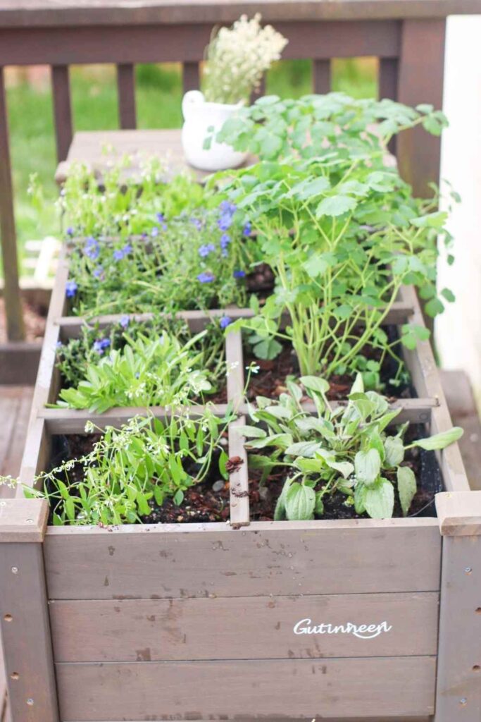 How to build a raised flower bed and plant summer flowers 