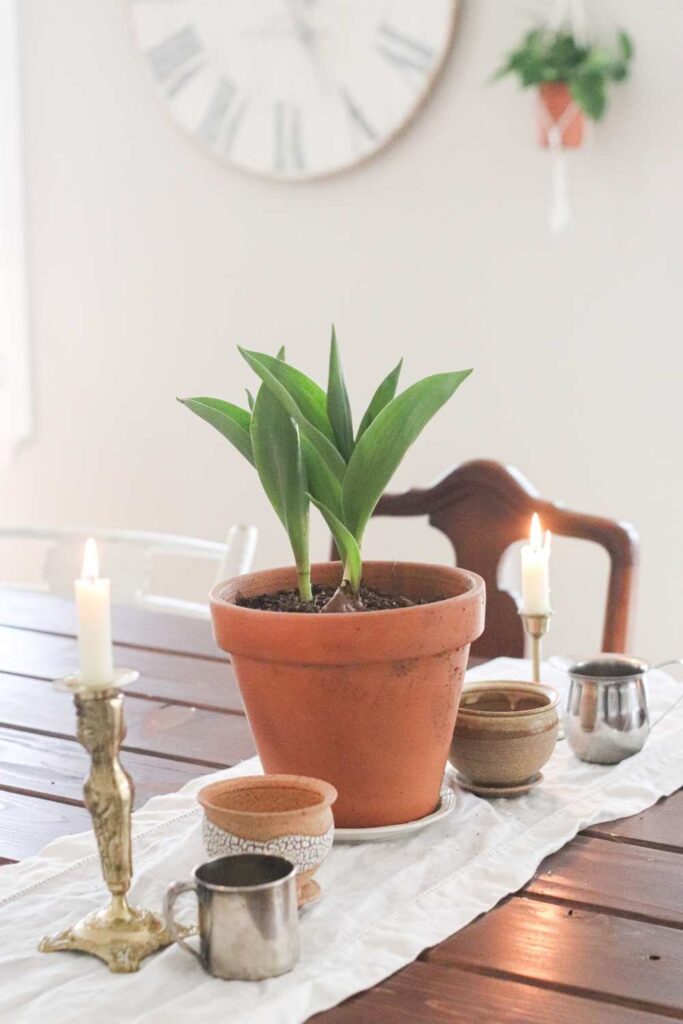 spring farmhouse dining table ideas