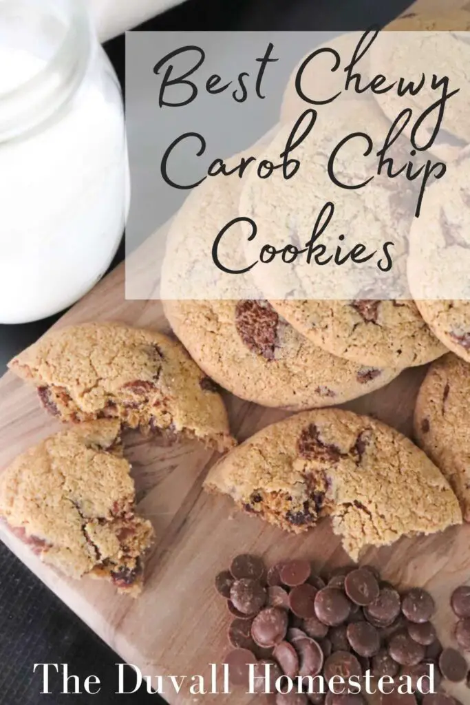 This post talks about how to make chewy cookies with carob chips. You acutally can substitue carob chips for regular chocolate chips in just about any recipe. These cookies are extra chewy and have all the health benefits of carob chips.

#carobchipcookies #carobchips #carob #carobchipcookierecipe