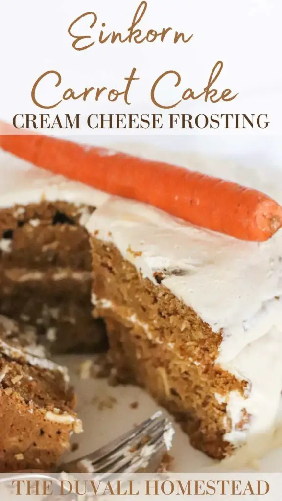 Einkorn carrot cake with cream cheese frosting is a delicious dessert or brunch side dish. Sweetened with coconut sugar and maple syrup, and made with einkorn flour, this is one cake you don't have to feel guilty about eating. 

#einkorncarrotcake #carrotcake #einkorn #einkornrecipes #desserts #healthydesserts #einkorndesserts