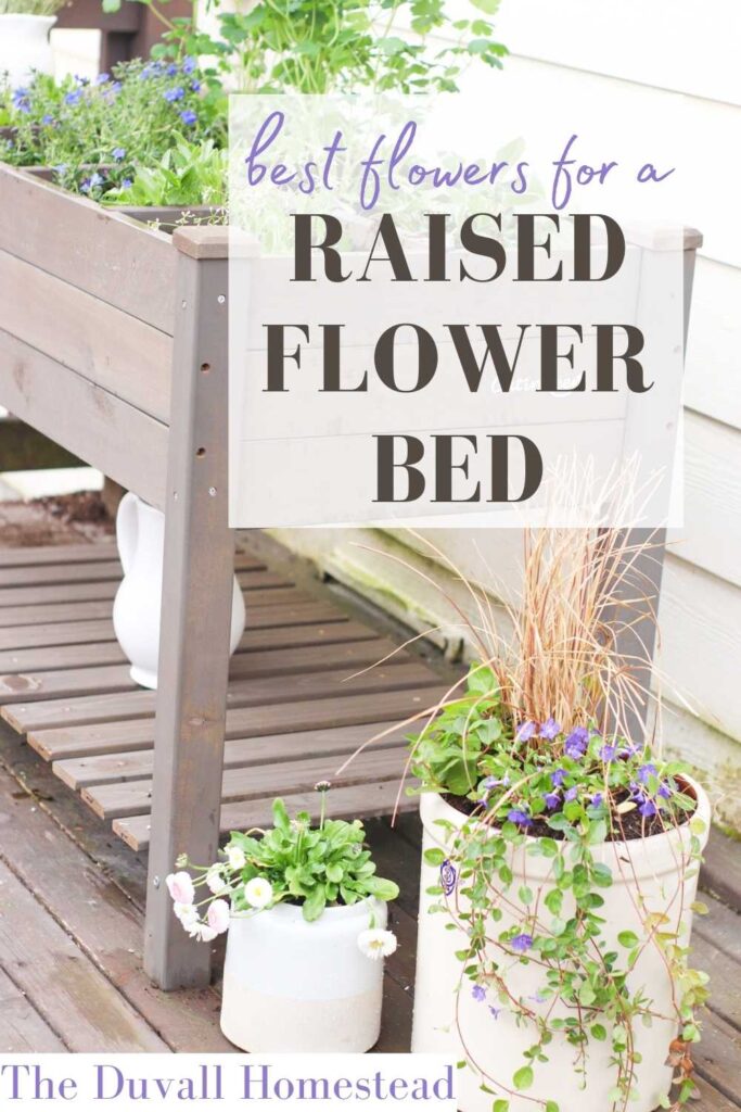 How to build a raised flower bed and plant summer flowers with the Aivituvin Raised Wooden Garden Bed

#raisedgardenbed #raisedflowerbed #flowerbed #raisedbed #gardenbed #bestflowerforgardenbed #cutflowers #perennials #spring #aivituvin