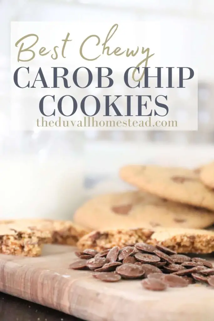 This post talks about how to make chewy cookies with carob chips. You acutally can substitue carob chips for regular chocolate chips in just about any recipe. These cookies are extra chewy and have all the health benefits of carob chips.

#carobchipcookies #carobchips #carob #carobchipcookierecipe