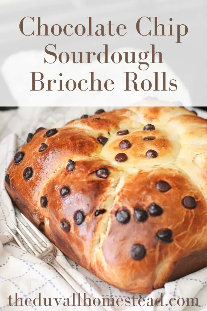 Easter is around the corner, and I'm getting ready with homemade sourdough brioche rolls with chocolate chips. This recipe uses sourdough starter to make a soft, chewy, sourdough brioche roll. The chocolate chips make this extra decadent.

#sourdoughbrioche #sourdough #briocherolls #sourdoughstarter #chocolatechipbrioche #easterrecipes #easterbrunch #bruch 