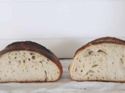 how to make better sourdough bread rise sourdough starter troubleshooting tips