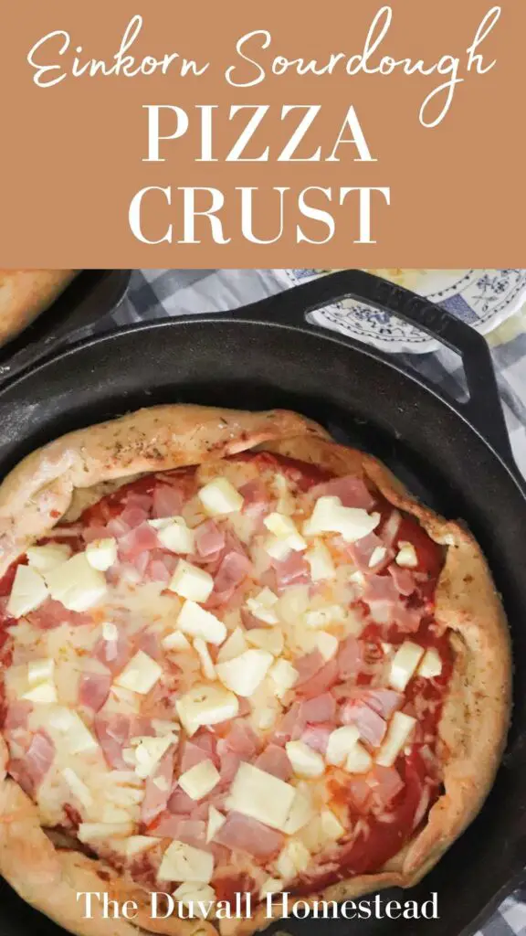 This delicious pizza crust is crispy on the outside and chewy on the inside, and is the perfect way to use up sourdough starter and einkorn flour. Follow along as I share this easy cast iron skillet pizza recipe. 

#einkornpizza #sourdougheinkorn #pizzacrust #sourdoughpizza #healthymeals #hawaiianpizza