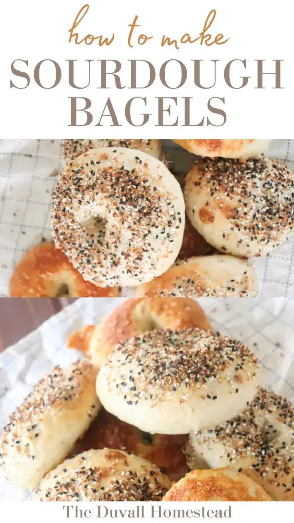 Learn to make sourdough bagels that are crispy on the outside and chewy on the inside. This simple tutorial shows you how to use your sourdough starter to make bagels. Perfect for breakfast, lunch, or a midday snack. 

#sourdoughbagels #sourdoughstarter #homemadebagels #howtomakebagels #bagelrecipe