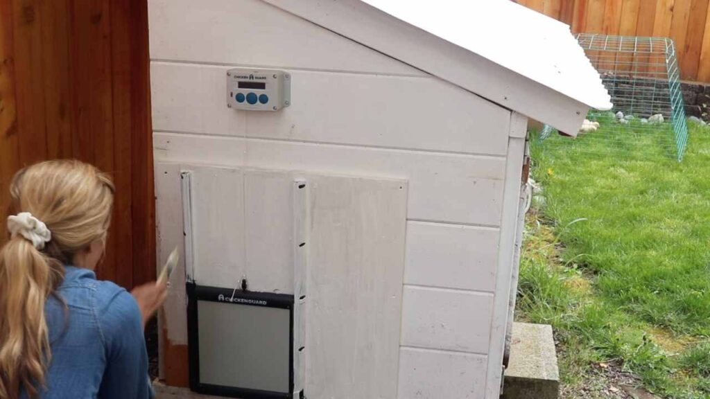 girl painting a chicken coop