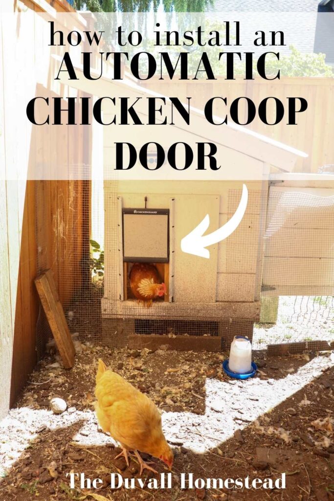 Keeping the chickens safe and happy, without having to open and close their door every day, is a huge success in my book. Learn how to install the best automatic chicken coop door for your backyard ladies. 

#automaticchickencoop door #backyardchickenkeeping