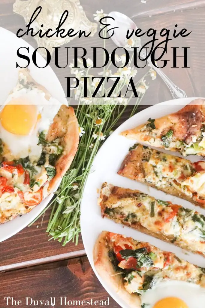 Learn to make our favorite chicken & veggie pizza on sourdough pizza crust. Homemade sauce and an egg cracked on top, this pizza is loaded with veggies and uses up our leftover chicken. It's one of our favorite summer meals to use our sourdough starter. 

#sourdoughpizza #summerrecipes #chickenpizza #veggiepizza #homemade #sourdoughstarter #sourdoughdiscard #pizzarecipe #summerpizza #pizza