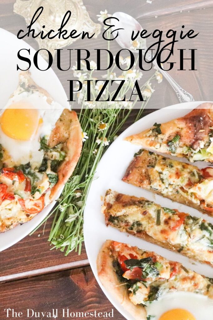 Learn to make our favorite chicken & veggie pizza on sourdough pizza crust. Homemade sauce and an egg cracked on top, this pizza is loaded with veggies and uses up our leftover chicken. It's one of our favorite summer meals to use our sourdough starter. 

#sourdoughpizza #summerrecipes #chickenpizza #veggiepizza #homemade #sourdoughstarter #sourdoughdiscard #pizzarecipe #summerpizza #pizza