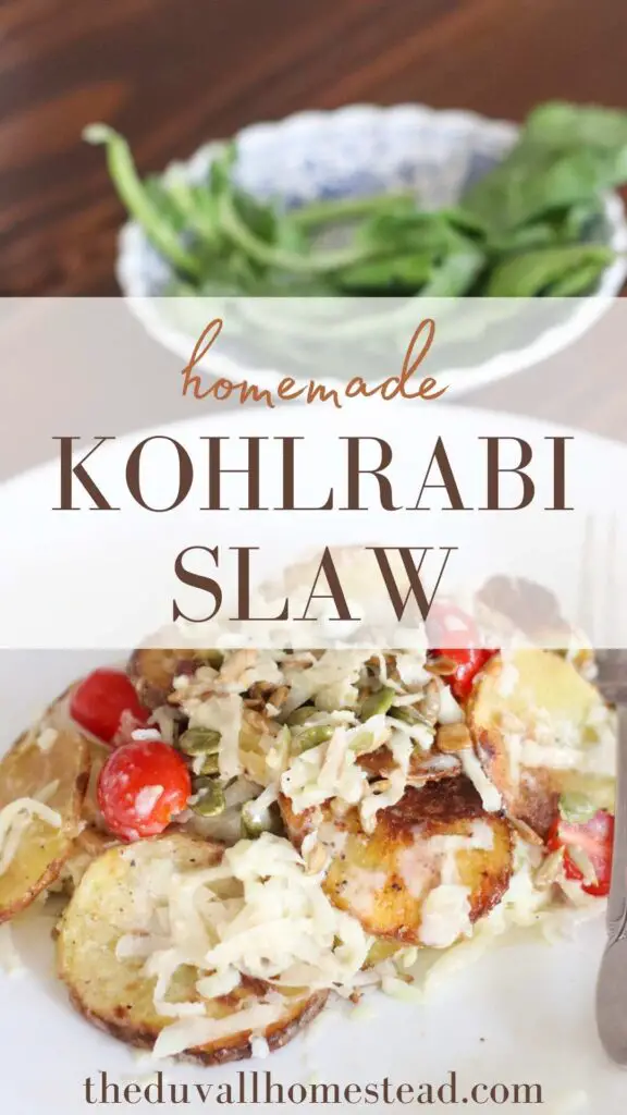 Use up your summer kohlrabi with this easy and delicious slaw recipe. Make kohlrabi slaw with crispy oven roasted tomatoes, and drizzle with homemade honey mustard dressing. 