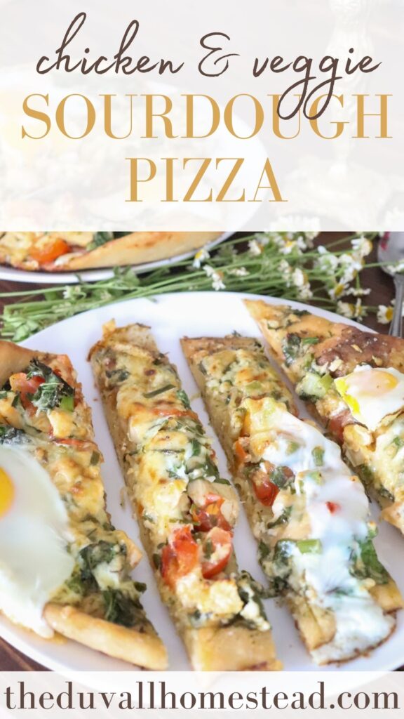 Learn to make our favorite chicken & veggie pizza on sourdough pizza crust. Homemade sauce and an egg cracked on top, this pizza is loaded with veggies and uses up our leftover chicken. It's one of our favorite summer meals to use our sourdough starter. 

#sourdoughpizza #summerrecipes #chickenpizza #veggiepizza #homemade #sourdoughstarter #sourdoughdiscard #pizzarecipe #summerpizza #pizza