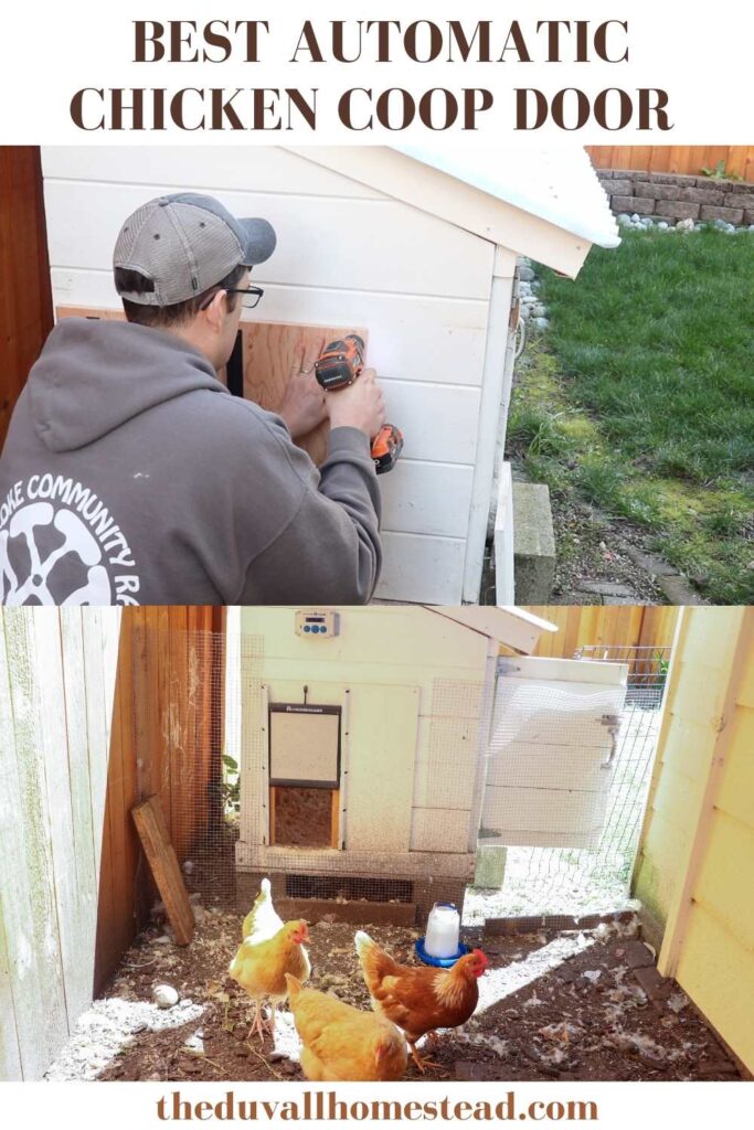 Keeping the chickens safe and happy, without having to open and close their door every day, is a huge success in my book. Learn how to install the best automatic chicken coop door for your backyard ladies. 

#automaticchickencoop door #backyardchickenkeeping