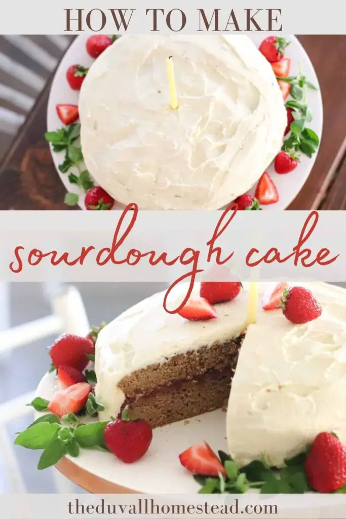 This sourdough cake is made with strawberry filling and cream cheese frosting. Sweetened with coconut sugar and maple syrup, I made this delicious and healthy cake for my 1 year old's birthday "smash cake".

#sourdoughbirthdaycake #sourdoughcake #strawberryfilling #creamcheesefrosting #sourdough #cake #smashcake #healthycake 