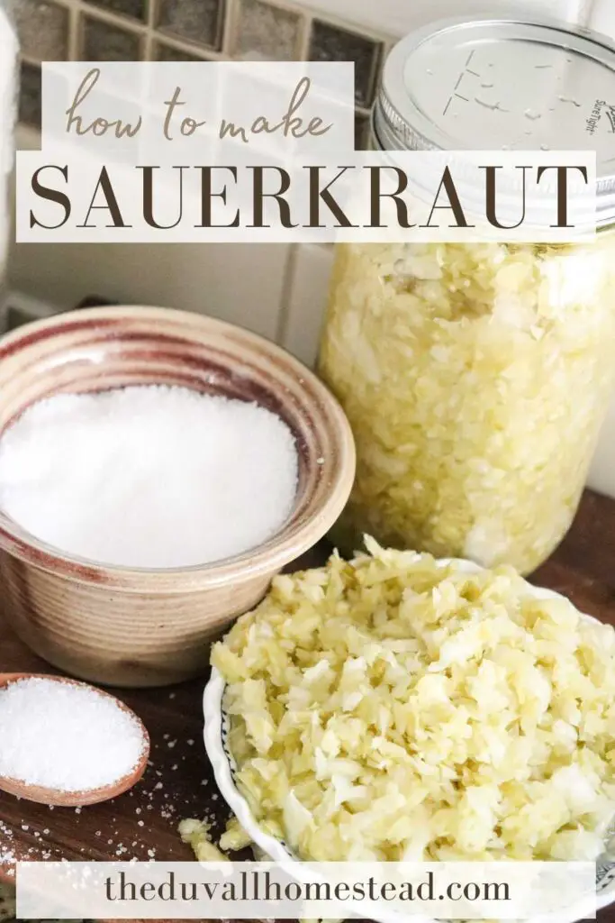 Sauerkraut is rich in probiotics, vitamins, and other nutrients. Learn to make homemade sauerkraut in a mason jar with this easy tutorial.

#homemadesauerkraut #masonjar #healthysnacks #guthealth #sauerkraut #traditional #tutorial #easy