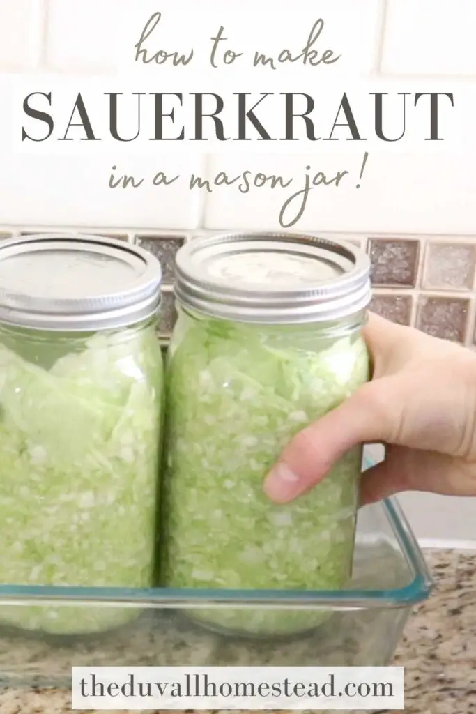 Sauerkraut is rich in probiotics, vitamins, and other nutrients. Learn to make homemade sauerkraut in a mason jar with this easy tutorial.

#homemadesauerkraut #masonjar #healthysnacks #guthealth #sauerkraut #traditional #tutorial #easy
