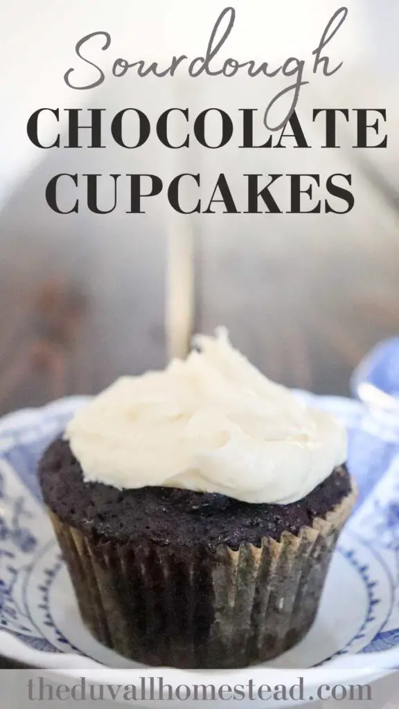 These sourdough chocolate cupcakes are gooey on the inside and made with sourdough starter and buttercream frosting for a delicious and healthy dessert. Learn how to make sourdough cupcakes in this easy tutorial.

#sourdoughcupcakes #healthydessert #simple #healthy #recipe #sourdough #discard