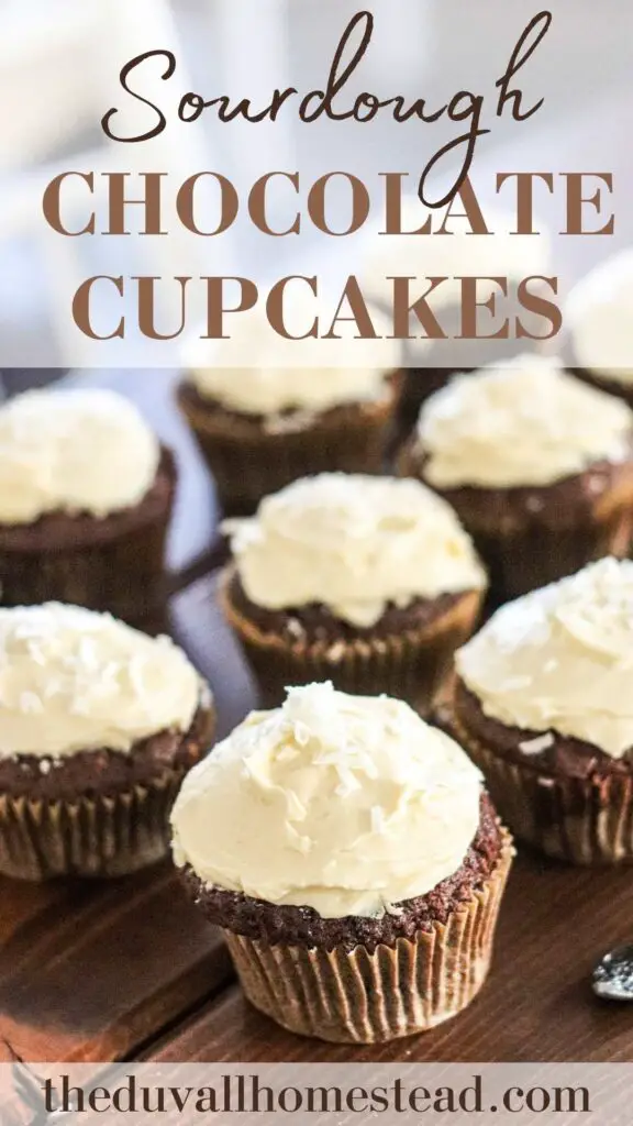 These sourdough chocolate cupcakes are gooey on the inside and made with sourdough starter and buttercream frosting for a delicious and healthy dessert. Learn how to make sourdough cupcakes in this easy tutorial.

#sourdoughcupcakes #healthydessert #simple #healthy #recipe #sourdough #discard