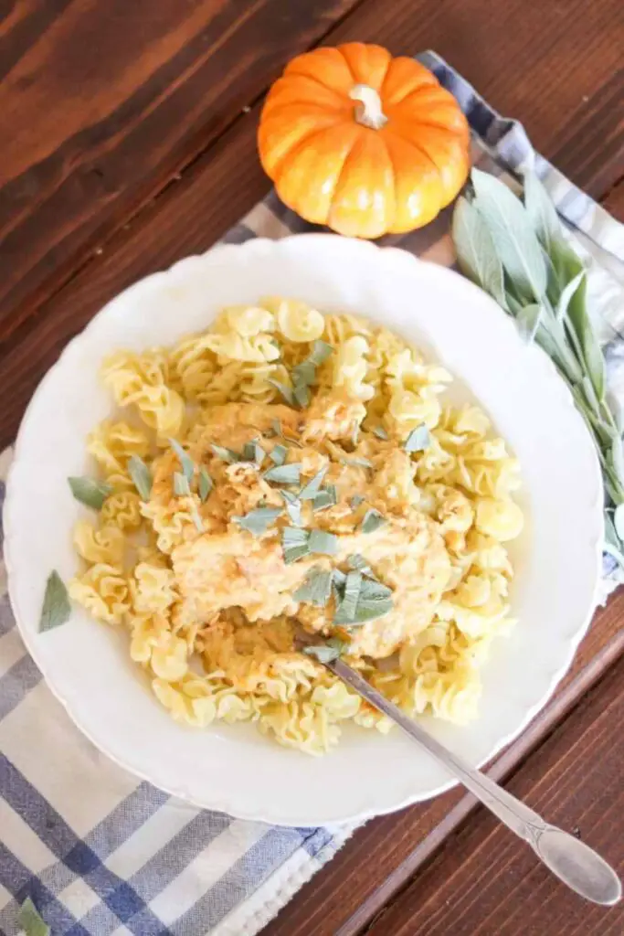 White bowl with pasta and creamy pumpkin carrot pasta sauce, garnished with sage, with an orange mini pumpkin on a farmhouse table