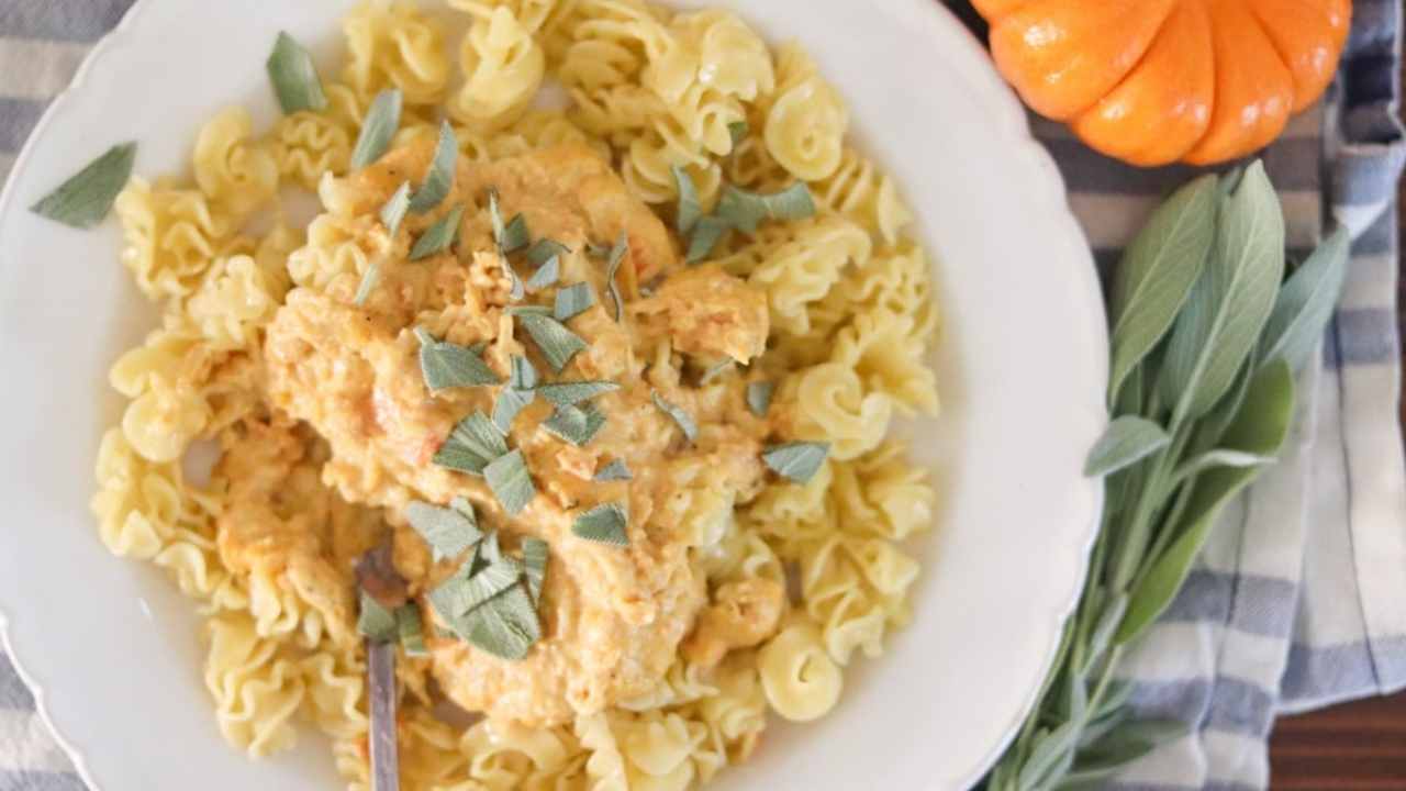 Creamy Pumpkin Carrot Pasta Sauce (Perfect for Baby!)