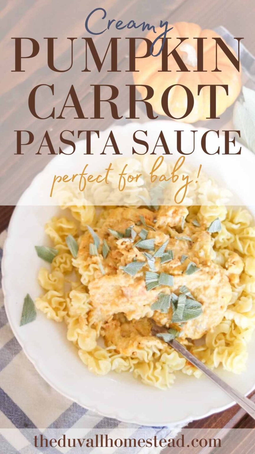 Creamy Pumpkin Carrot Pasta Sauce (Perfect for Baby!)